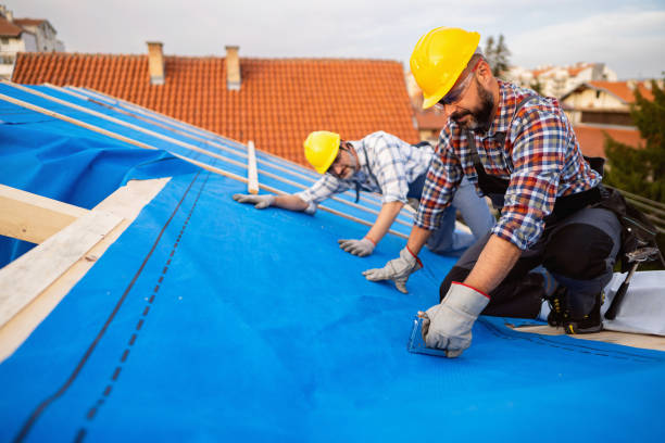 Best Roof Gutter Cleaning  in Yosemite Lakes, CA